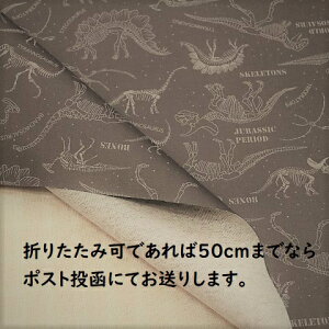 y~l[gnz~l[gn JbR  ̍  ZO[F R[251Ȃ j̎q w Jo q ~l[g n JbRCC `}bg 