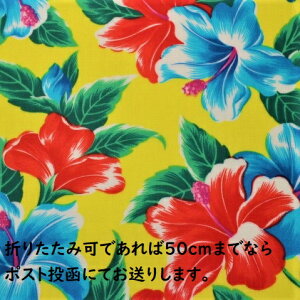 y~l[gnz~l[gn nCrXJX nCrXJX  ĕ Jt F R-89 ̎q Jo e[uNX ԕ w q ~l[g n bN `}b