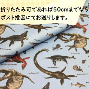 y~l[gnz~l[gn Ñ㐶 C̐    񂾃Cgu[nF R|295 Ȃ j̎q w q ~l[g n  rj[R[eBO