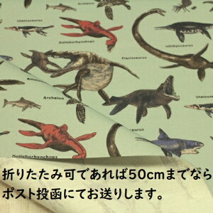 y~l[gnz~l[gn Ñ㐶 C̐    O[݂̗ CgOCbVO[ aO[F R|296 j̎q w q ~l[g n 