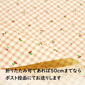 y~l[gnz~l[gn  TN{ ʕ ȂȂ߃`FbN i`sNFR|330 w ~l[g n z 킢  `}bg rj[R[e