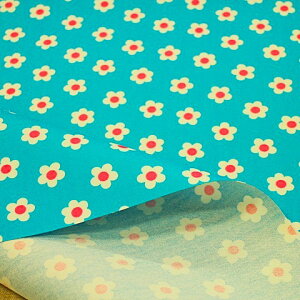 y~l[gnz~l[gn  邢݂ǂ݂̐ R|344 w ~l[g n z 킢  Vv `}bg rj[R[eBO h hz Jɋ h