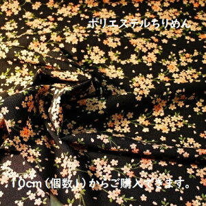 yanza a an |GXe߂    F w22-28 ߂ n z   C~ Jo В fBXvC Gv ̂ ЂȂ t t@ubN 10