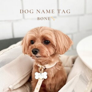 Airie y Dog name tag / bone z l[^O OD qD zCg 