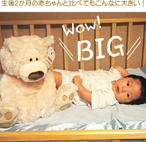 yGUNDzBIGʂ݁@t@[XggC@tBrx[W׃A L@@oYj@a@Mtg@xr[MtgBa@oq@j̎q̎q@bsO@v[g@NX}Xv