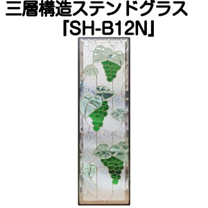 XehOX sAOXwSH-B12Nx(s)yzyޗ ͂߂  g gfBVi GNXeA fM h  lC pl Xehplz