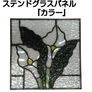 XehOXplwyFV[YzJ[xyXehpl 􉽊w      Vz tH[ AeB[N hA  Xeh pl XehOXzyXehOX 