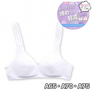 n[tgbv WjA Ci[ Jbvt bV ̎q ߕtɂ   q ugbv(X|u t@[Xgu WjAu XN[