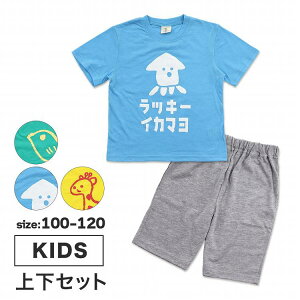 pW} LbY jq  Y{ ㉺Zbg َq bL[}l[Y 100cm 110cm 120cm [EFA q j̎q(LbYpW} TVc 