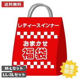 送料無料 レディース インナーセット 福袋 10枚セット 肌着 ショーツ ブラジャー ブラトップ 下着 インナーウェア アンダーウェア レディース下着