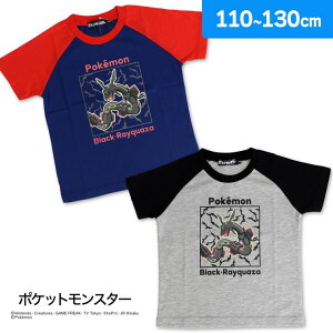 |PbgX^[ {[CY  TVc ȍ ubNbNEU LN^[AE^[ j(|P 110cm 120cm 130cm O[ lCr[ gbvX j̎q)