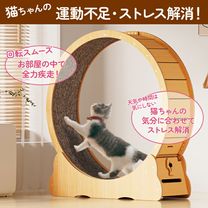 楽天市場】【1位受賞】Ciaobot（チャオボット）キャットホイール 猫 