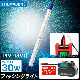 HEMAJUN(ヘマジュン) HEMAJUN 集魚灯 30w 14-18V バッテリー専用 3600ルーメン IP68防水 電動リールバッテリー　電動リールバッテリー対応 LED ホワイト HJ-FL03-30W 集魚ライト 水中集魚灯 緑 ライト 照明 夜釣り ボート ヒラメ 水中 釣り 船