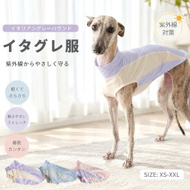 イタグレ?ミニピン春夏用ハイネックタンクトップ ナイロン機能性ストレッチ素材採用、抜群伸縮性で体にフィット 速乾仕様で汗を素早く逃