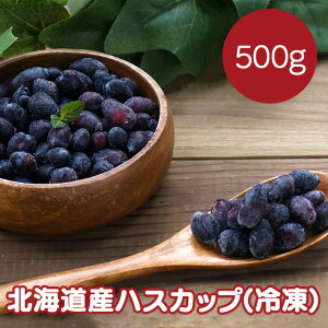 kCYⓀnXJbvYi@sꌧїւ̔zs