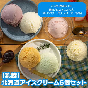 kCACXN[6@6Yi sEւ̔zs