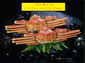 E䐅Y@@{C킢Ɏp@2iv800gjYi sEւ̔zsCNMtg