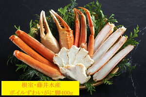 E䐅Y@@{C킢ɋr400giJbgρjYi sEւ̔zsCNMtg