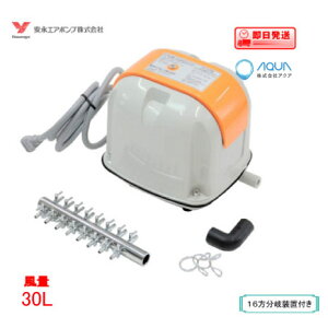 i GA[|v AP-30Pi16򑕒utj iGA|v 򉻑 u[ yz AP-30̌p@ AP-30Py1Nۏؕtz