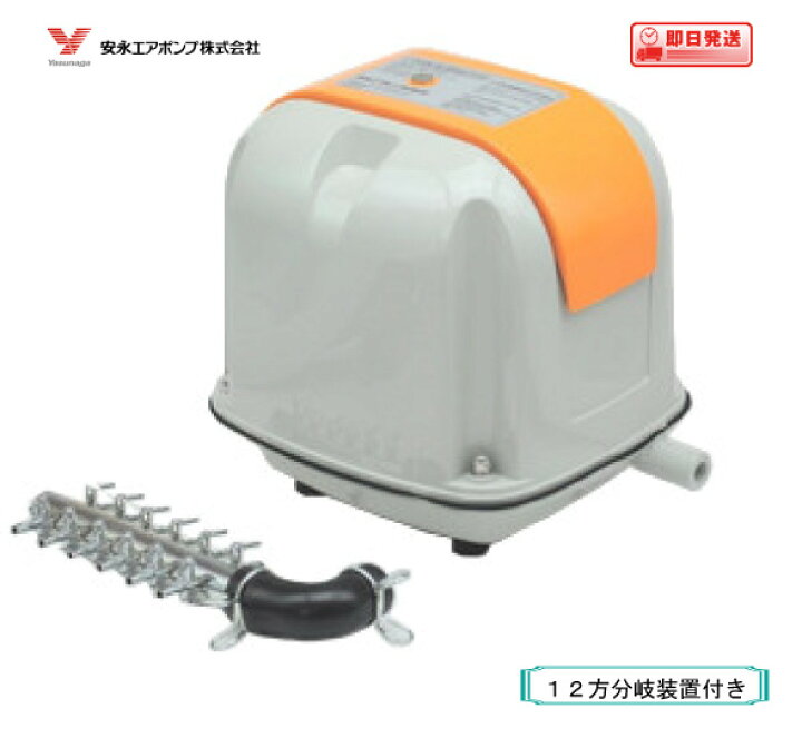 楽天市場 エアーポンプ ａｐ ６０ｆ １２方分岐装置付き 後継機種のap 60gでの発送になります 安永エアポンプ 浄化槽 ブロワー 水槽 ポンプネットショップ楽天市場店