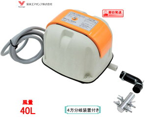 i GA[|v AP-40Pi4򑕒utj iGA|v 򉻑 u[ yz AP|40P AP-40̌p@y1Nۏؕtz