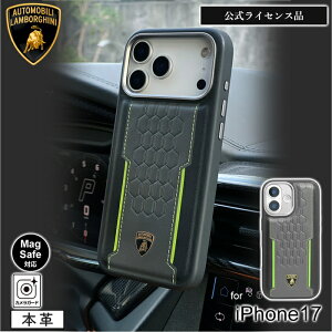 iphone17 P[X ubN {M[j MagsafeΉ U[ GR ϏՌ  킢  Vv lC LO  uh Y fB[X v[g Mtg