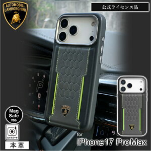 iphone17promax P[X ubN {M[j MagsafeΉ U[ GR ϏՌ  킢  Vv lC LO  uh Y fB[X v[g Mtg