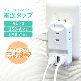 電源タップ usb type-c AC コンセント タップ タイプC typec ACアダプタ コンパクト ミニ 携帯 USB-A USB-C PD30W対応 折り畳みプラグ 持ち運び ホワイト 白