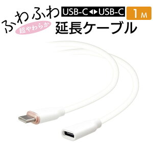 [dP[u ^CvC 1m P[u [d P[u X}z iPhone X}z[d Type-C \tg^Cv VR _炩  zCg typec