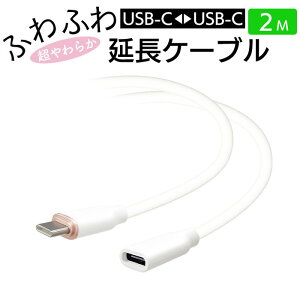 [dP[u ^CvC 2m P[u [d P[u X}z iPhone X}z[d Type-C \tg^Cv VR _炩  zCg typec