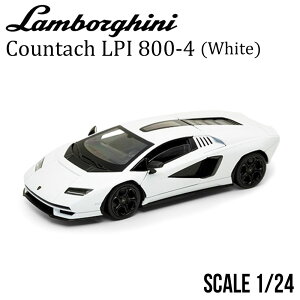~jJ[ 1/24 {M[j JE^bN LPI 800-4 zCg  _CLXgf J@\t i Vi J CZXi  Ă l j 30 40 50 60 WE24114
