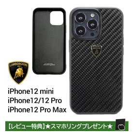 iPhone12 ケース ランボルギーニiPhone12mini iPhone12Pro iPhone12ProMax 背面ケース カーボン スマホケース 海外 ブランド エンブレム ロゴ ブラック
