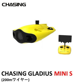 CHASING GLADIUS MINI S (200mワイヤー)
