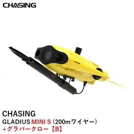 CHASING GLADIUS MINI S (200mワイヤー)+グラバークロー【B】