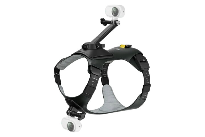 楽天市場】Insta360 ペット用ハーネスマウント【GO 3S】【GO 3 