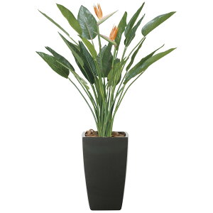 A[gXg`Aԕt1.6 115M950 W90×D70×H160cmy2024N lHϗtA ̊y  tFCN rO  A[gt[ CeAO[z