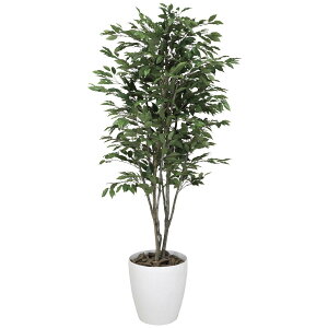 xW~c[ 1.6 156K430 W65×D65×H160cmy2024N lHϗtA ̊y  tFCN rO  A[gt[ CeAO[z