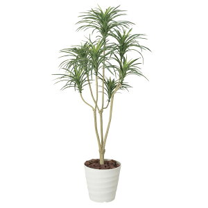 bJ 1.6 173A250 W65×D60×H160cmy2024N lHϗtA ̊y  tFCN rO  A[gt[ CeAO[z