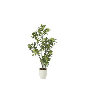 VFt1.15 2027A180 W50×D45×H115cmy2024N lHϗtA ̊y  tFCN rO  A[gt[ CeAO[z