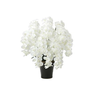 v~AӒ10{W 2046A350 W70×D50×H90cmy2024N lHϗtA ̊y  tFCN rO  A[gt[ CeAO[z