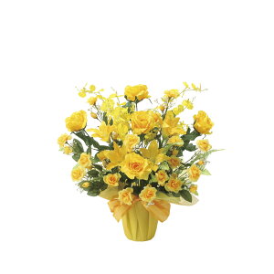 S[fQ[g 2120M100 W55×D44×H58cmy2024N lHϗtA ̊y  tFCN rO  A[gt[ CeAO[z