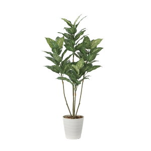 fBtFoLA1.35 2220A200 W60×D55×H135cmy2024N lHϗtA ̊y  tFCN rO  A[gt[ CeAO[z