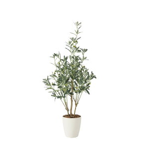 I[u1.1 2223A180 W50×D50×H110cmy2024N lHϗtA ̊y  tFCN rO  A[gt[ CeAO[z