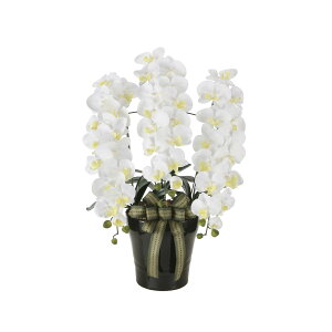 CӒW 2291A200 W55×D55×H76cmy2024N lHϗtA ̊y  tFCN rO  A[gt[ CeAO[z