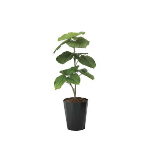 tbVEx[^1.0 2293K180 W50×D45×H100cmy2024N lHϗtA ̊y  tFCN rO  A[gt[ CeAO[z