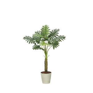 Z[1.25 2341A170 W70×D70×H125cmy2024N lHϗtA ̊y  tFCN rO  A[gt[ CeAO[z