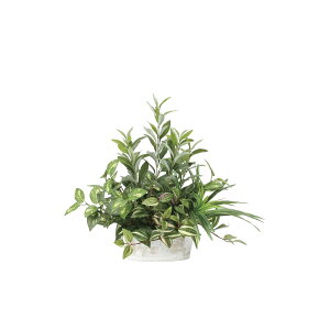 񂹐AI[u 2348A100 W54×D30×H50cmy2024N lHϗtA ̊y  tFCN rO  A[gt[ CeAO[z