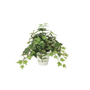 ~bNXACr[ 2351A85 W55×D55×H43cmy2024N lHϗtA ̊y  tFCN rO  A[gt[ CeAO[z