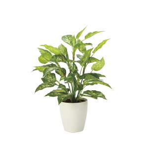 tbVfBtFoLAL 2353A85 W50×D45×H70cmy2024N lHϗtA ̊y  tFCN rO  A[gt[ CeAO[z