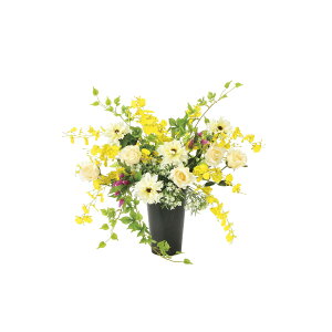 cC\tg[Y 2369A135 W55×D38×H52cmy2024N lHϗtA ̊y  tFCN rO  A[gt[ CeAO[z